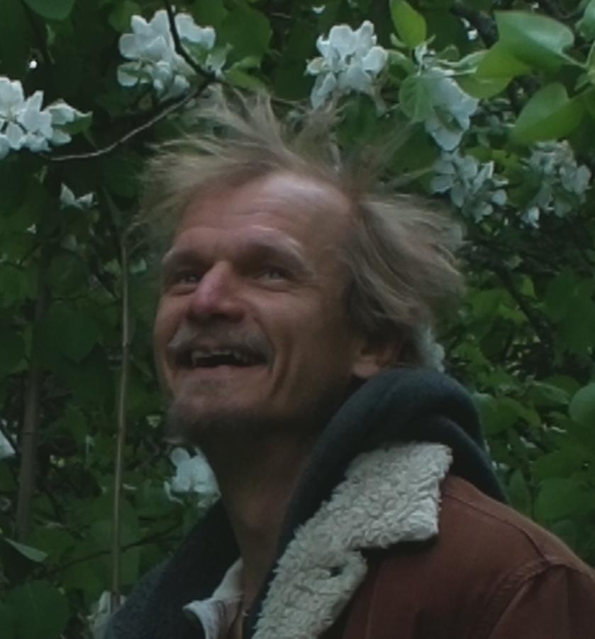 kingrobin.jpeg